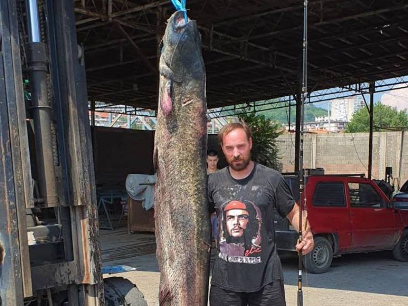 IMG-05844699ec1a173d6bc093b3abcdadaa-V