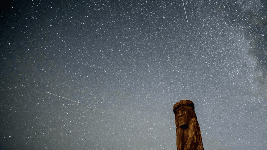113879634 perseids1
