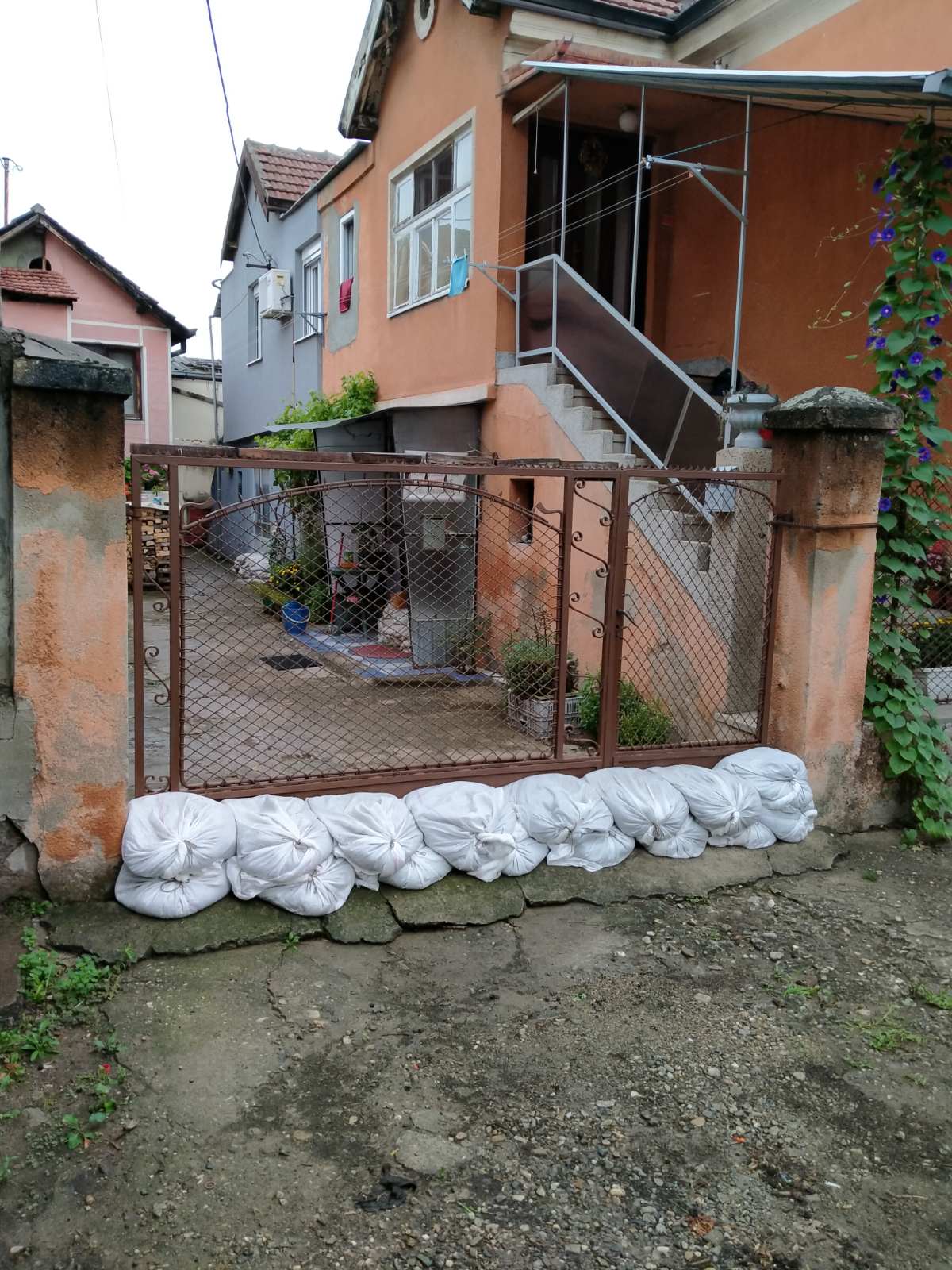 viber_image_2020-08-13_14-46-47