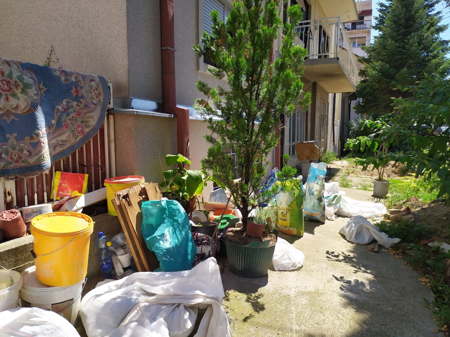 IMG 20200813 134436 1 scaled