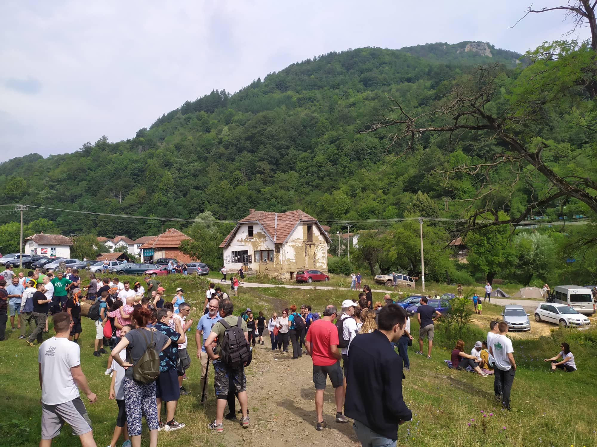 rakita, 15 avgust 2020, foto milica jovanovic 1