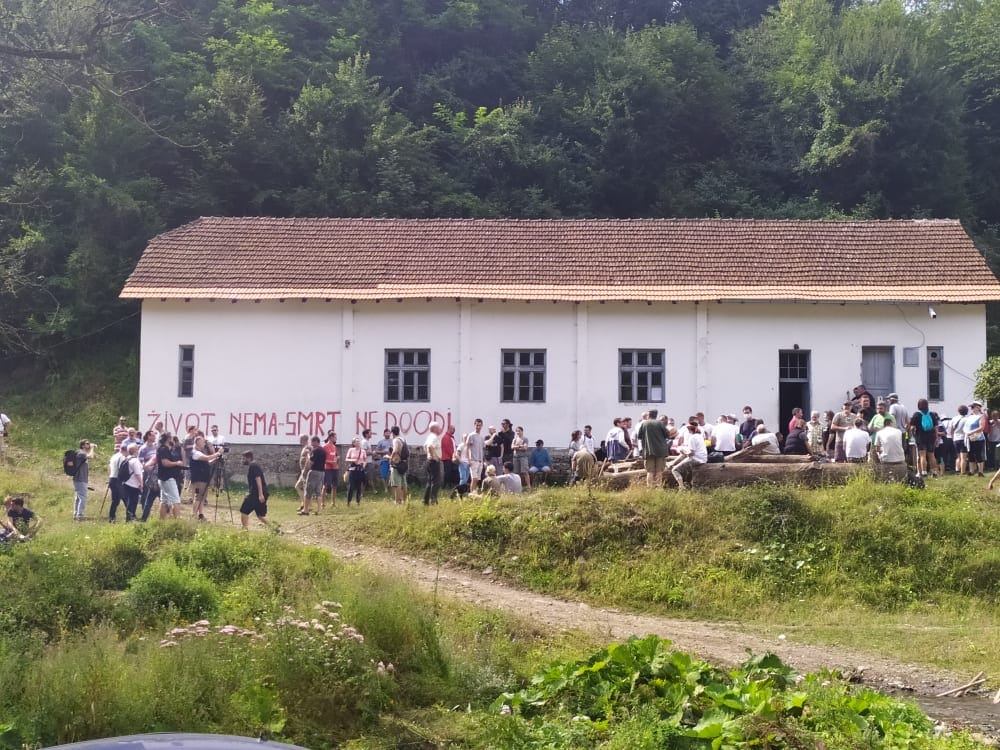 rakita, 15 avgust 2020, foto milica jovanovic 4