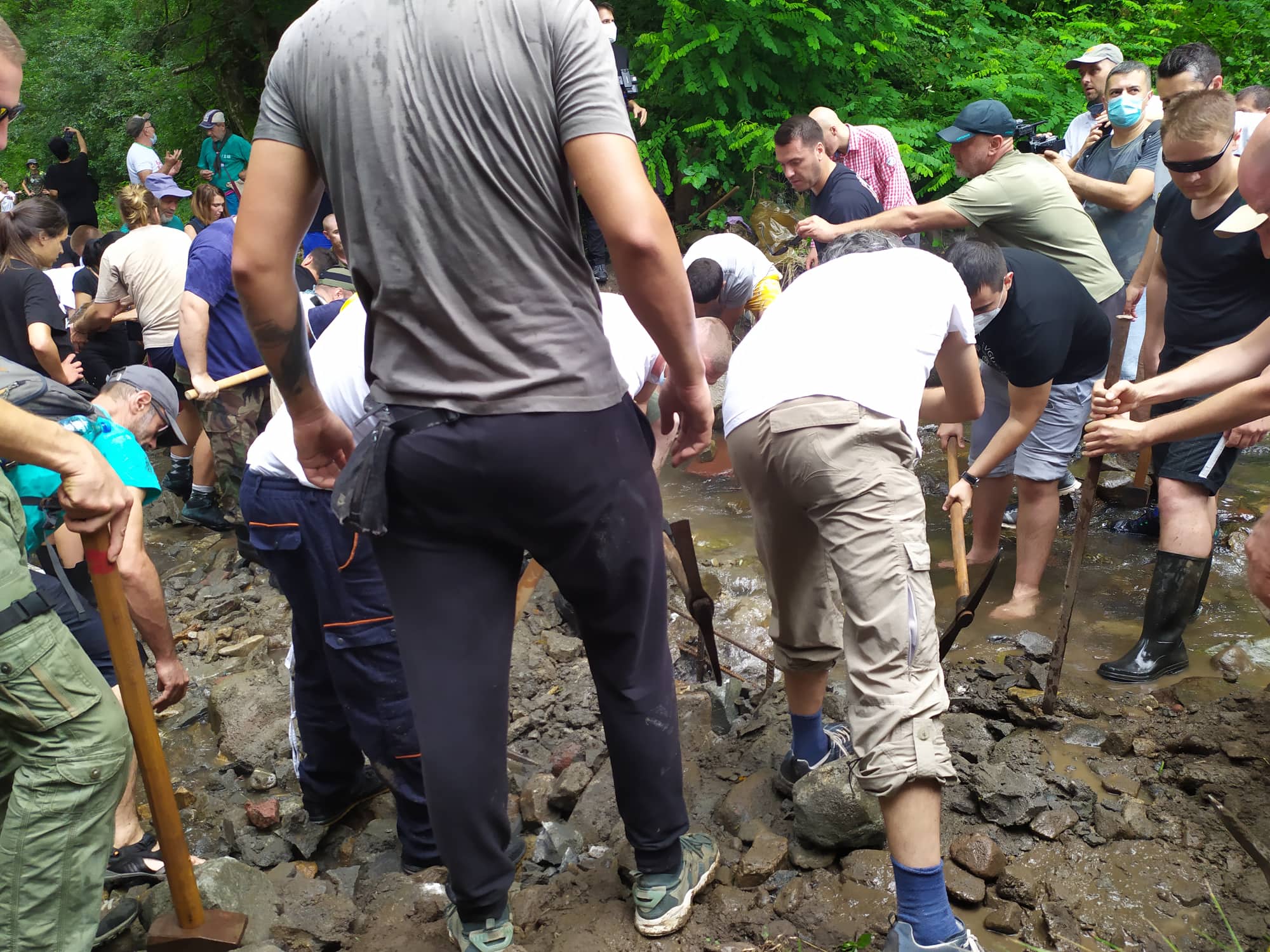 rakita, 15 avgust 2020, foto milica jovanovic 9