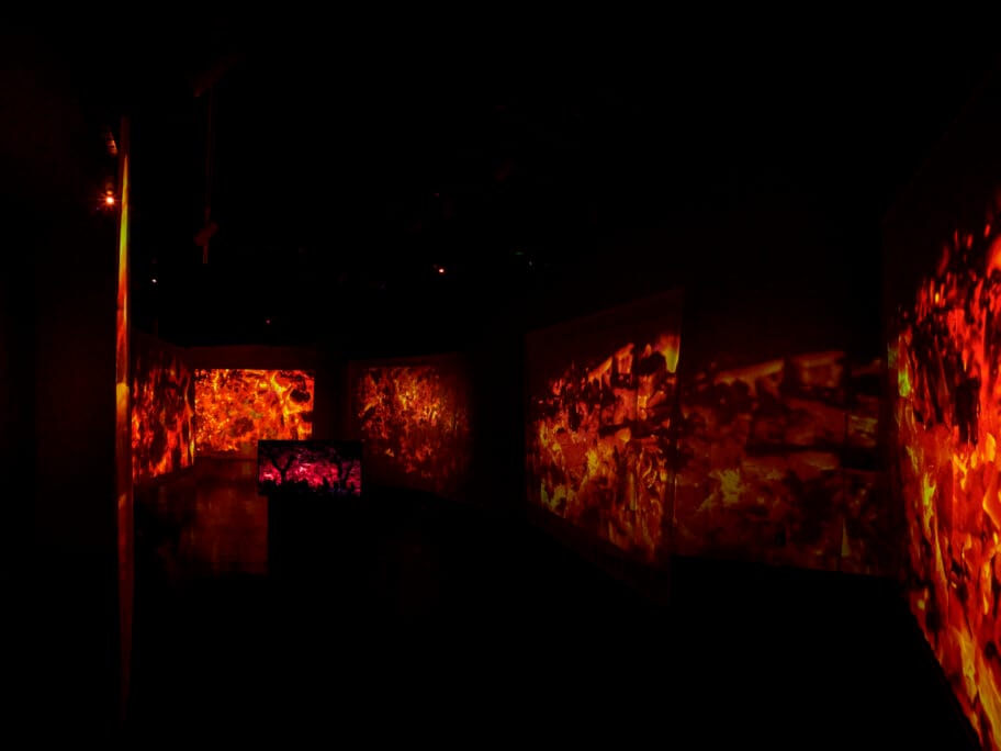 Izlozba revolucija sanjam Anica Vucetic Foto S Veljovic