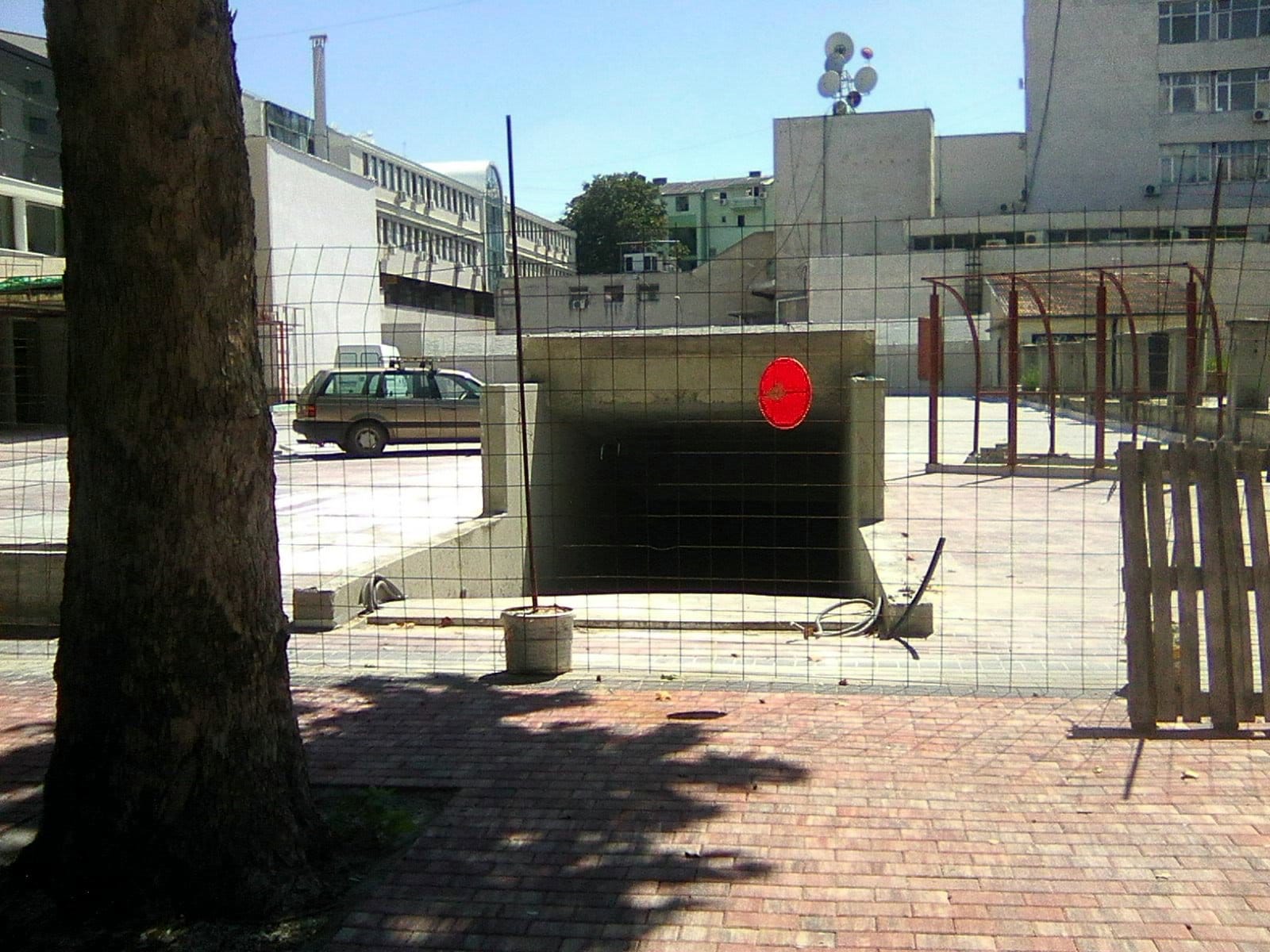 Drvo na ulazu u garazu; foto: citalac