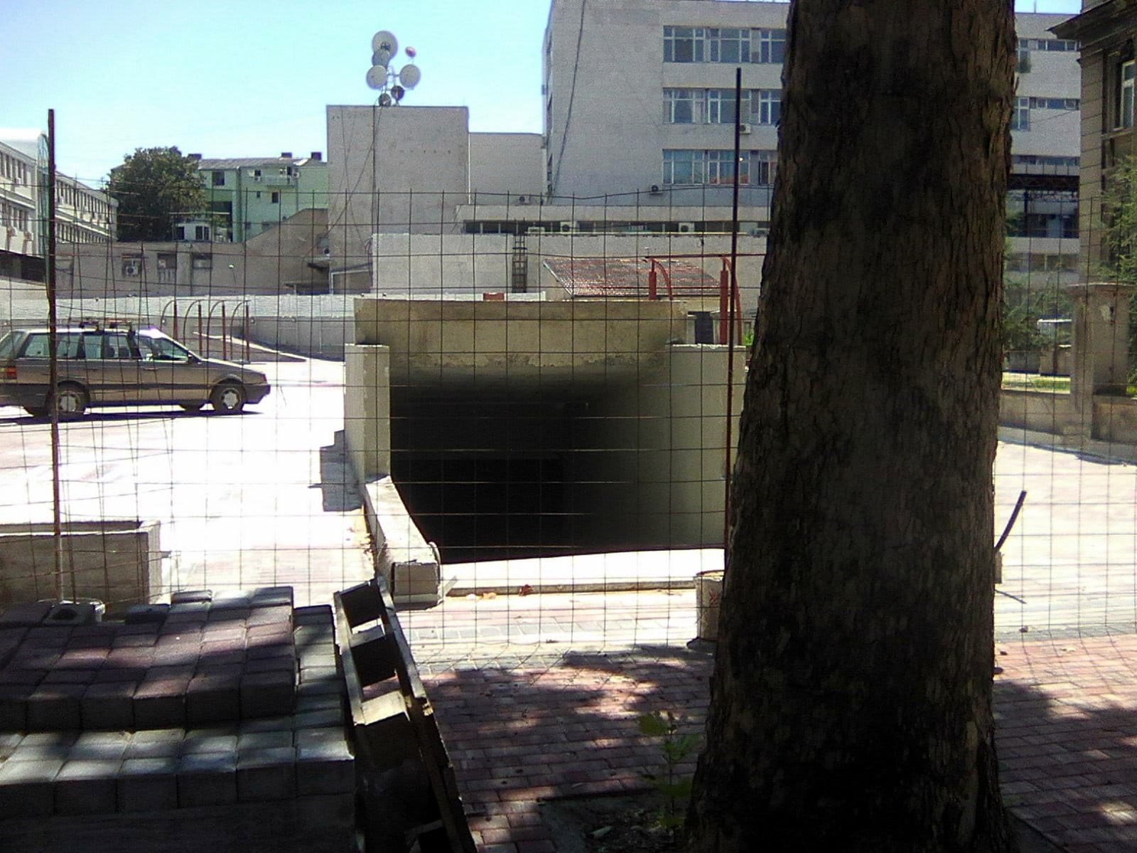 Drvo na ulazu u garazu 1; foto: citalac