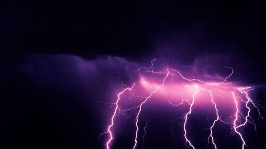 113906973 113808669 nevreme4