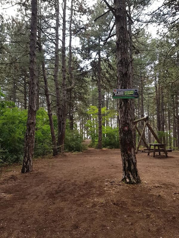 117709362 155061942904704 5448494114092906267 n