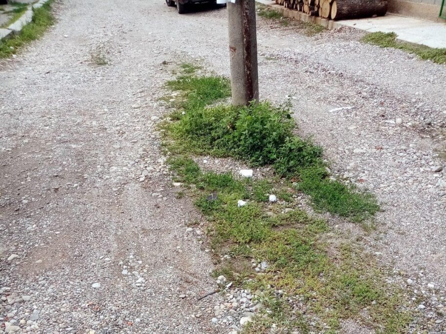 Bandera Pasi Poljana foto citalac