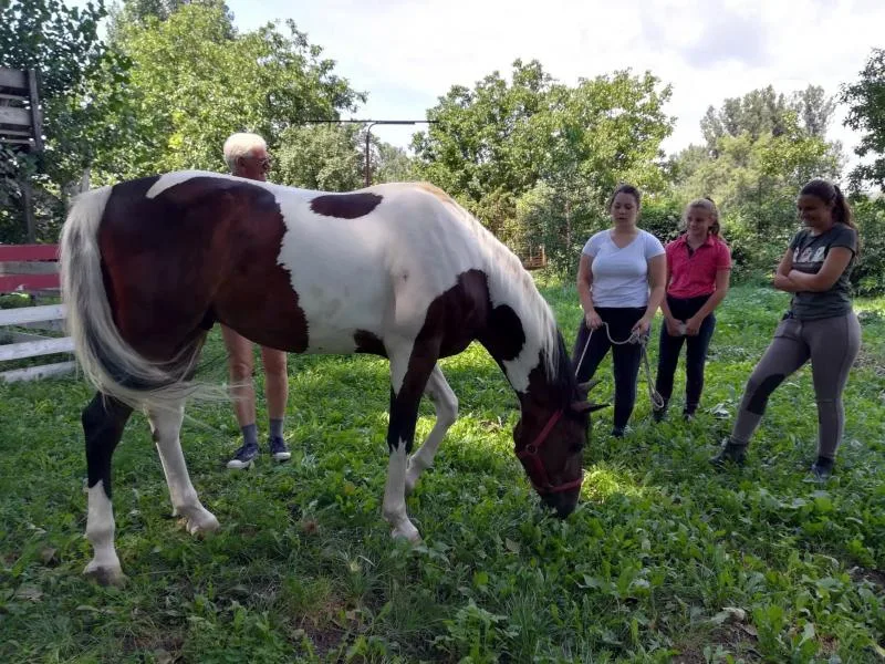 800x600 Konjicki klub Cegar avgust 2018 foto JV J A