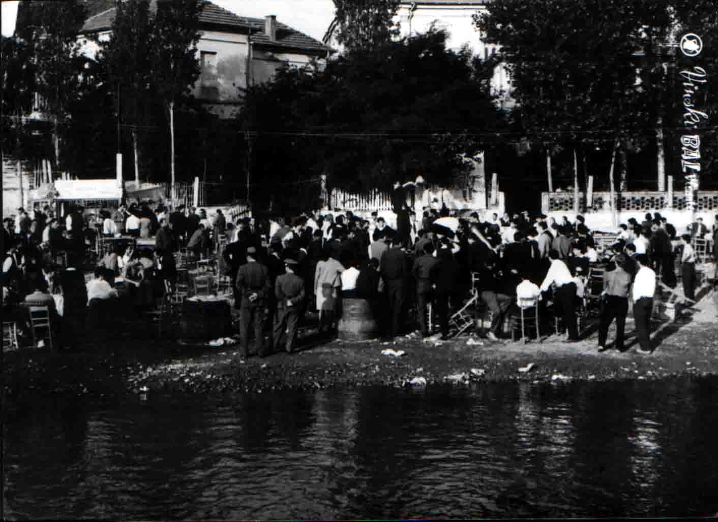 Vinski bal foto Biblioteka Vlasotince 5