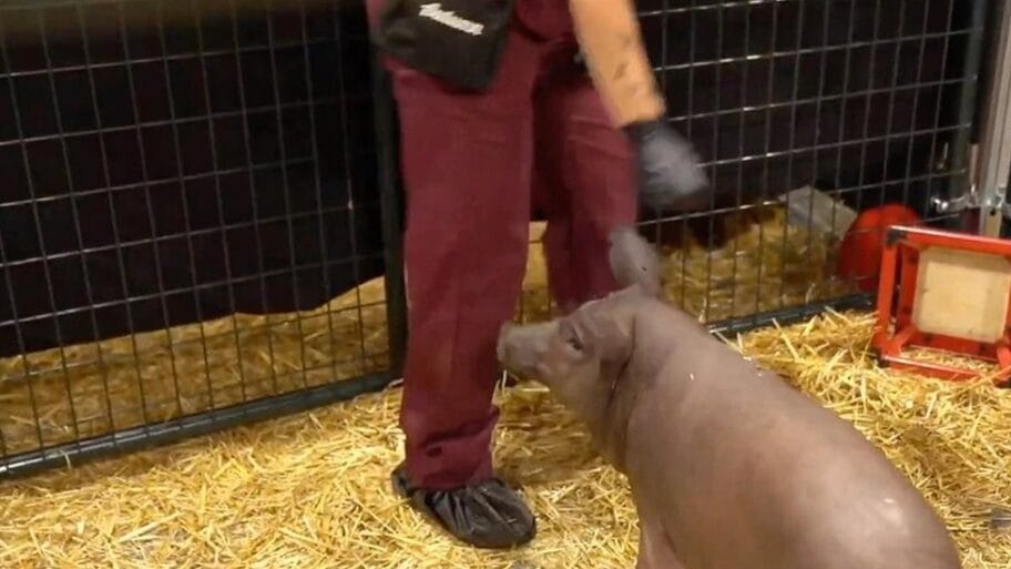 114171135 dd674ff9 3af6 4b22 93f2 433d7ee398cb