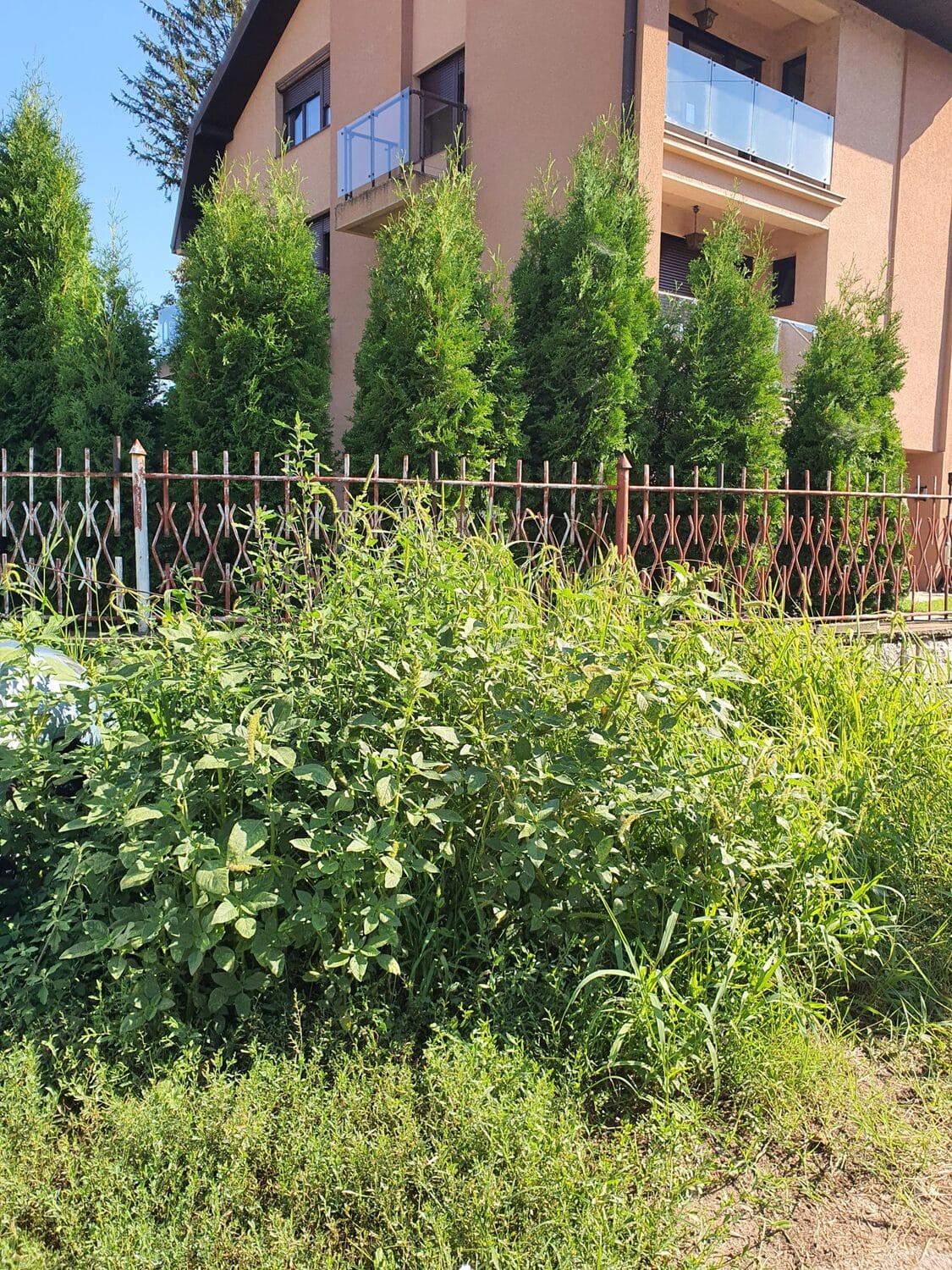 ambrozija Narodnih heroja