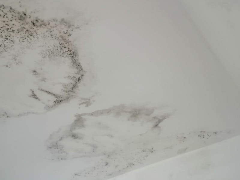 IMG-c690f3cba755cf4b735d486d82789b8c-V