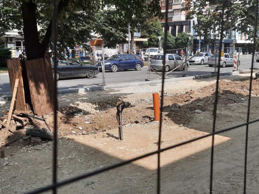 drvored le foto Lj F