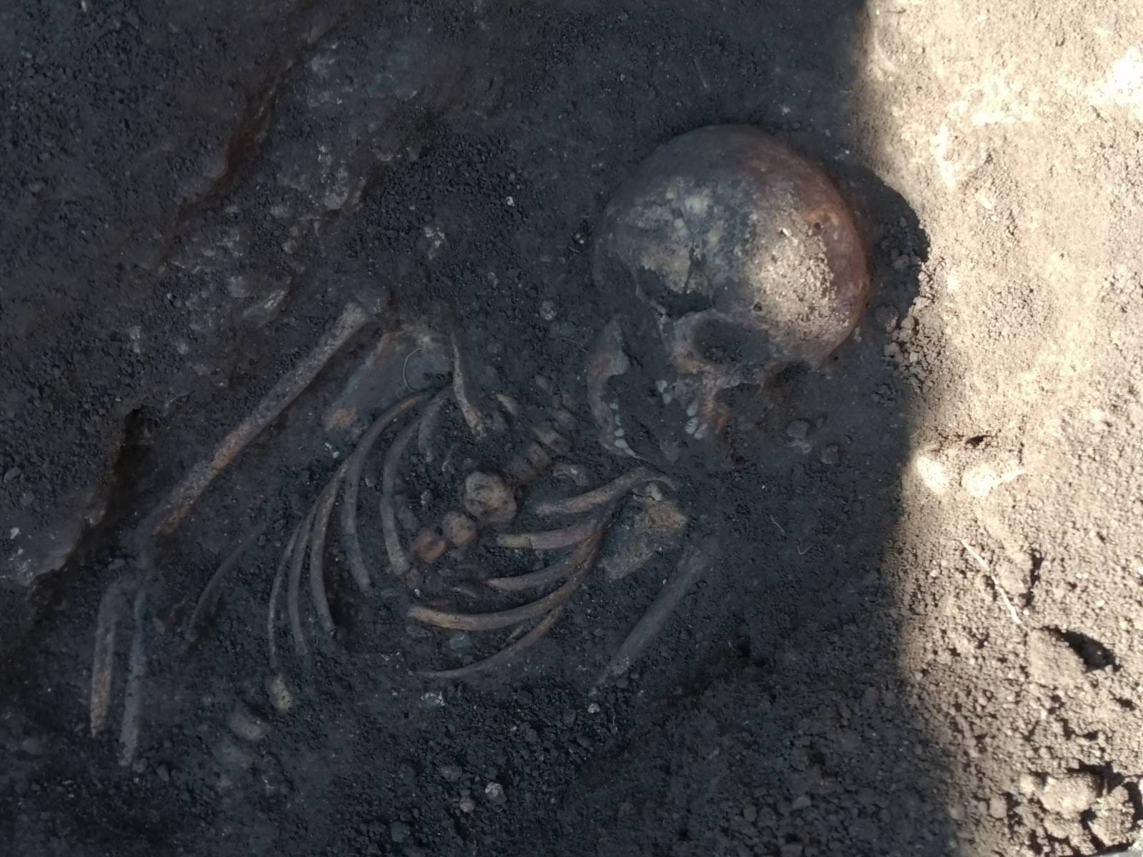 IMG b299e6a5d6ffaf2c19a9833d7fba4954 V