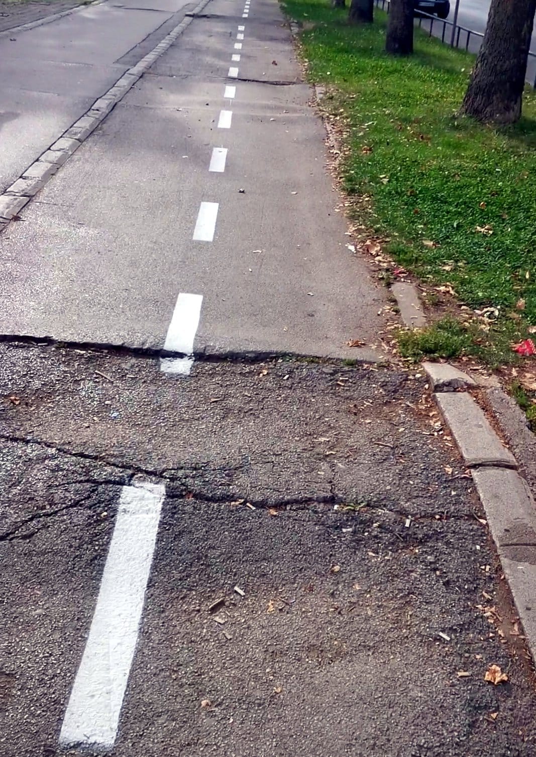 Biciklistička staza2; foto: čitalac