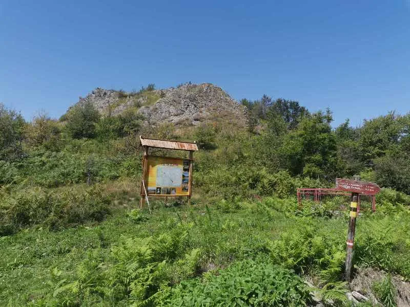 IMG 29bcd54382d91950d6632b3c02faa282 V