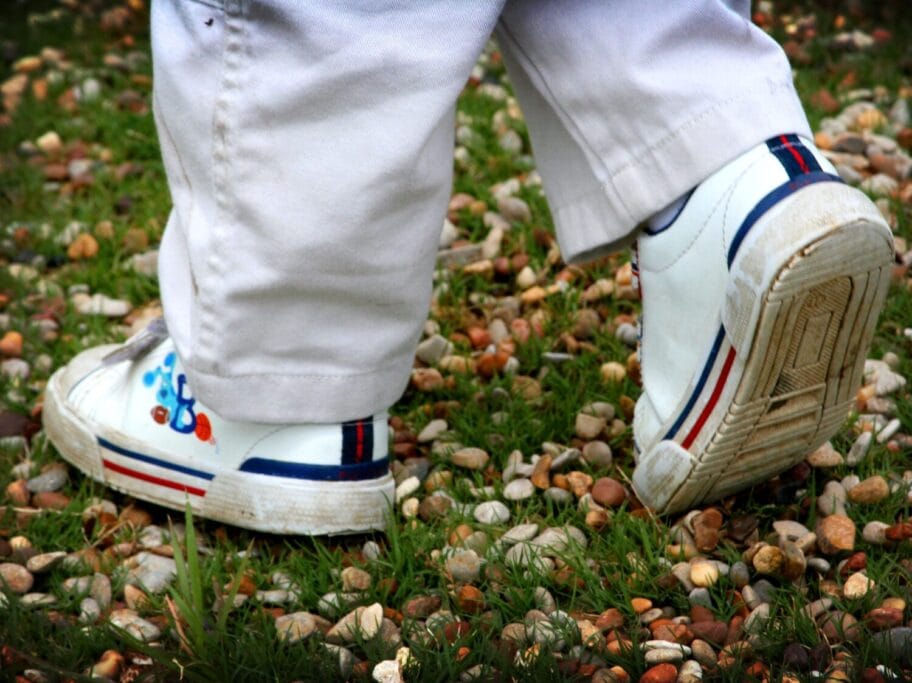 Patike pesacenje ilustracija oto flickr David Kessler scaled