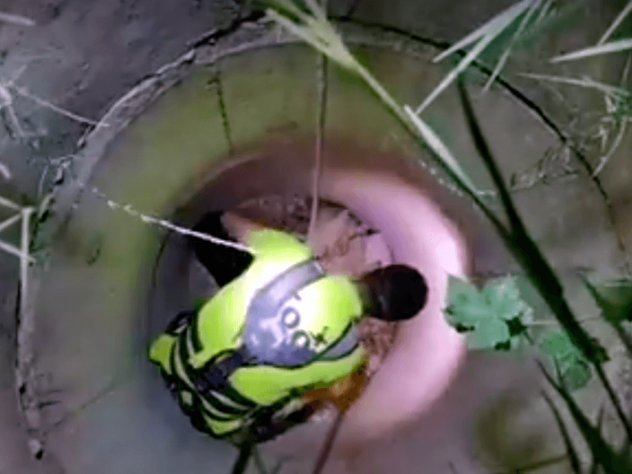 Spasavanje psa foto print screen facebook zoo planet