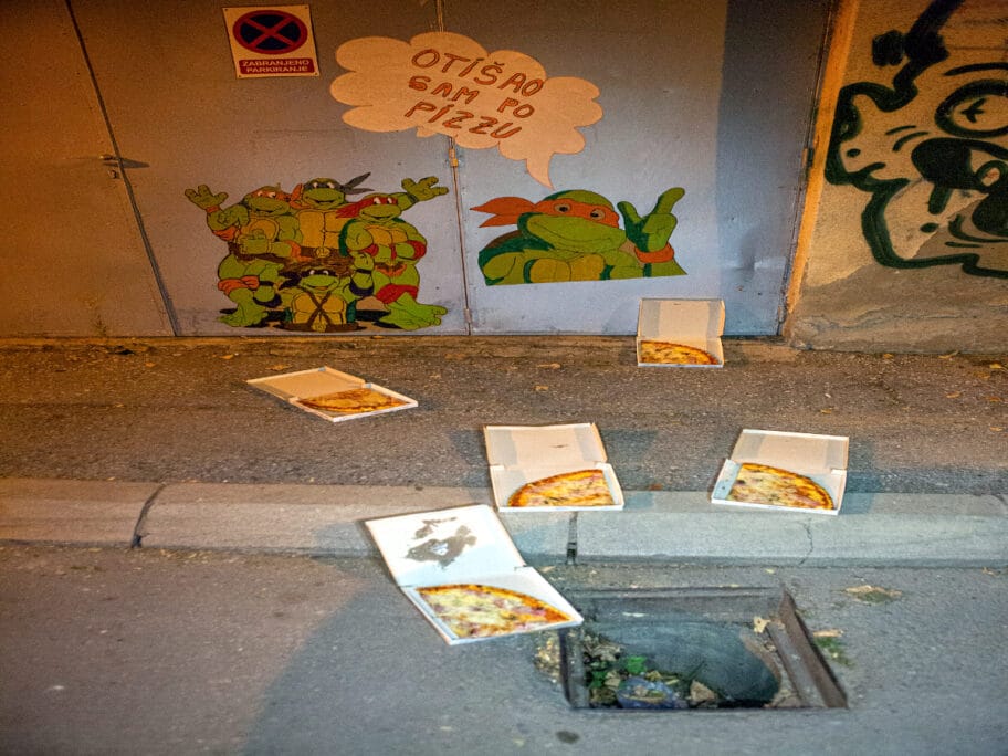 nindza kornjace foto gerila