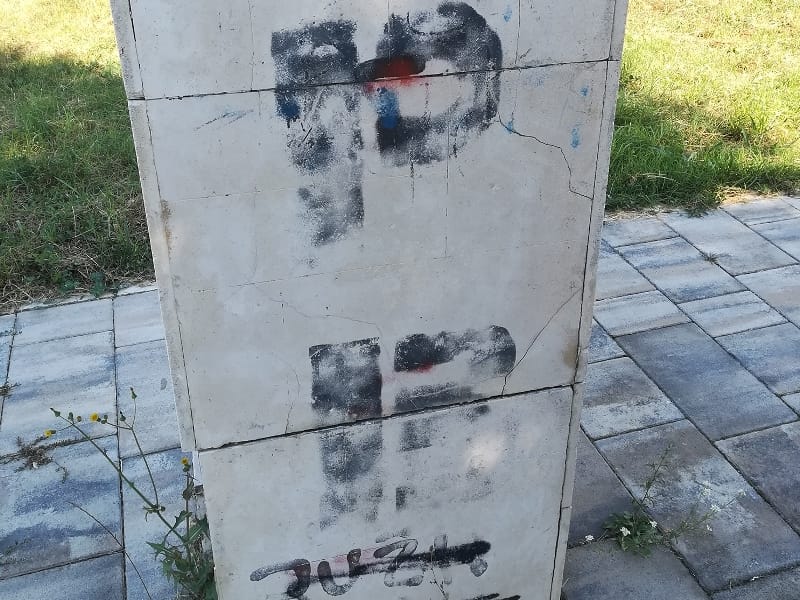 Spomenik D.Radosavljevic Toplica