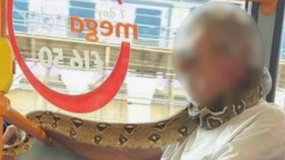 114394476 hi063339829