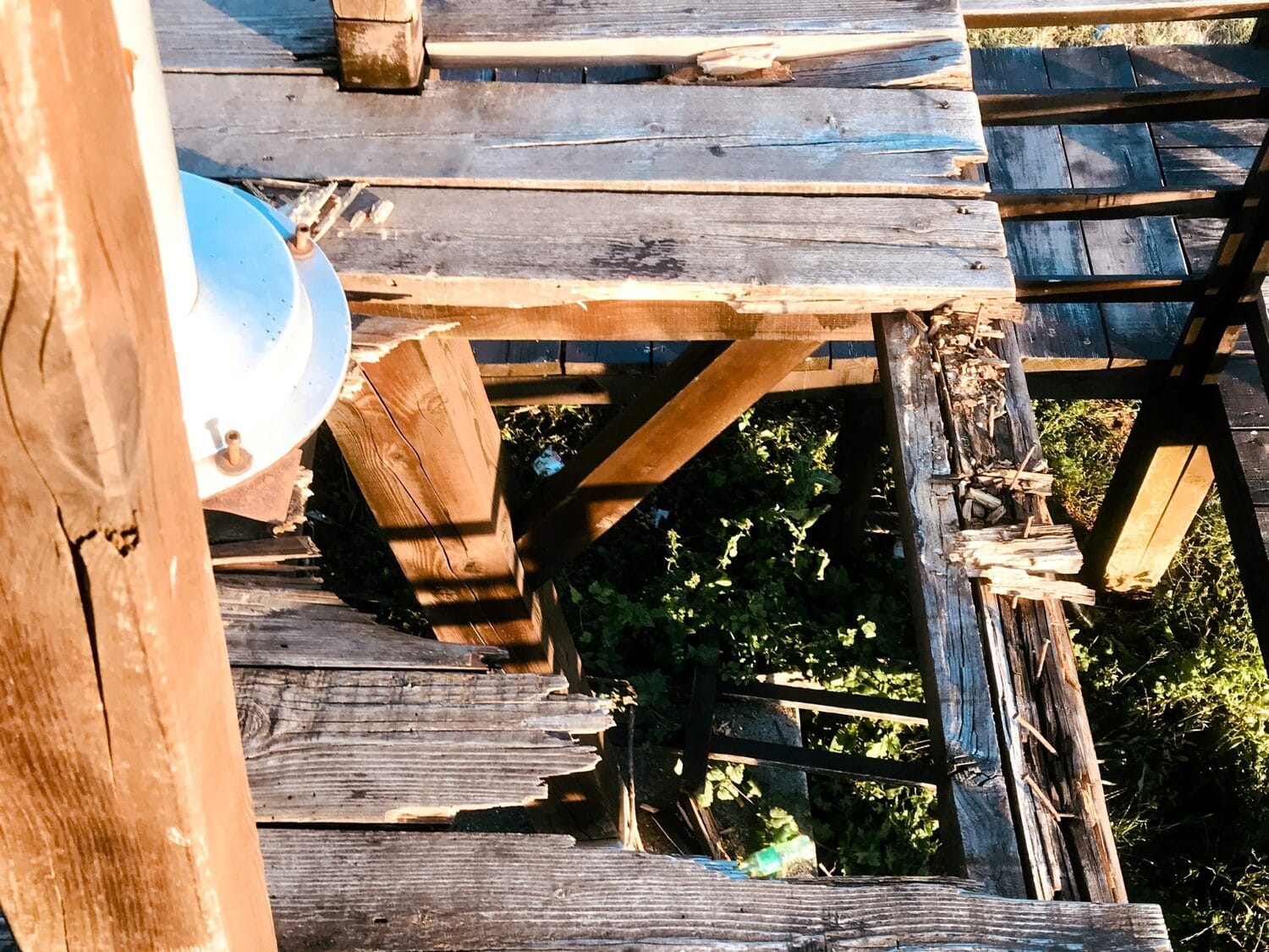 Osmatracnica Kamenicki vis foto citalac scaled