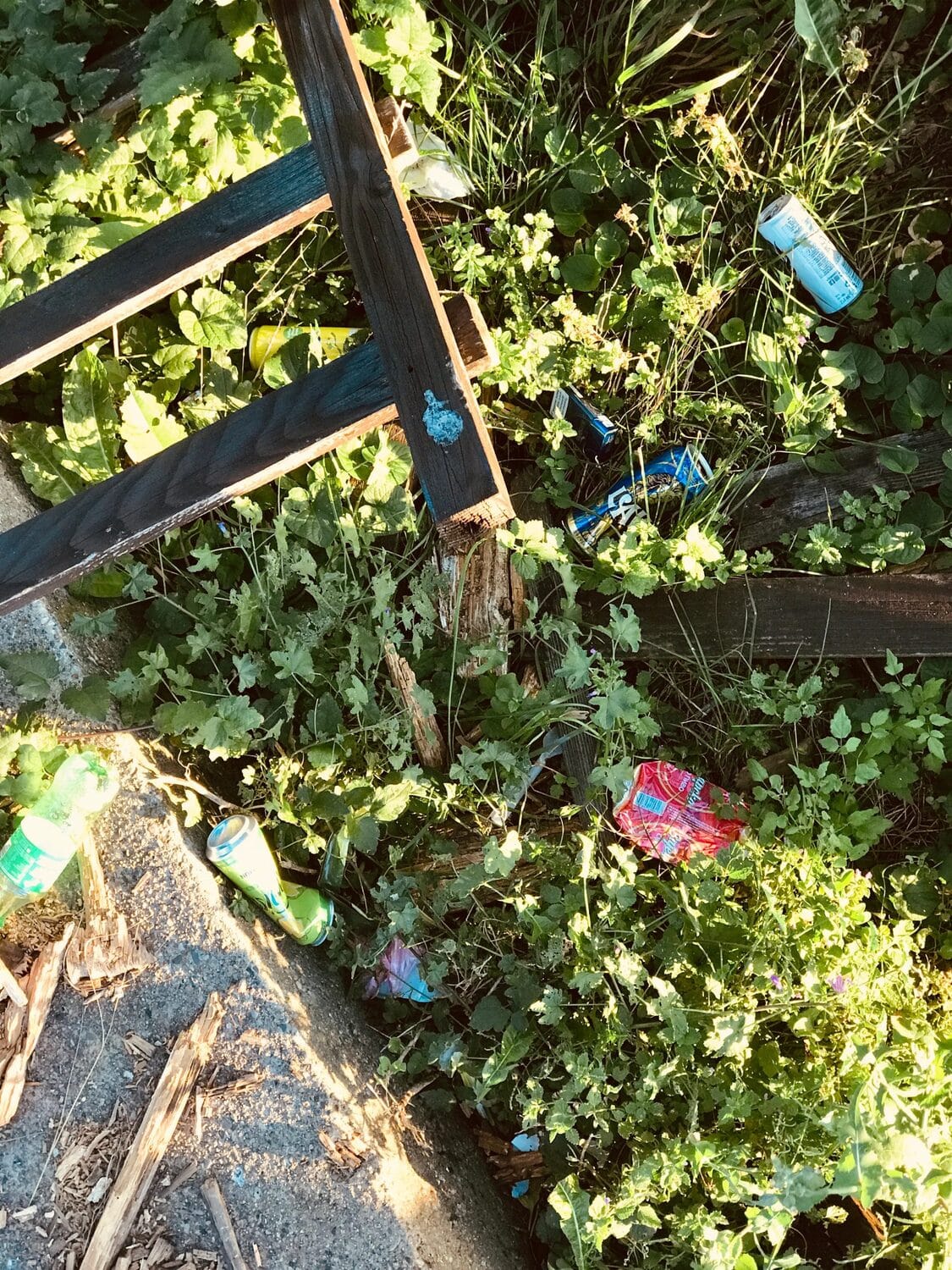 Djubre Kamenicki vis 2 foto citalac scaled