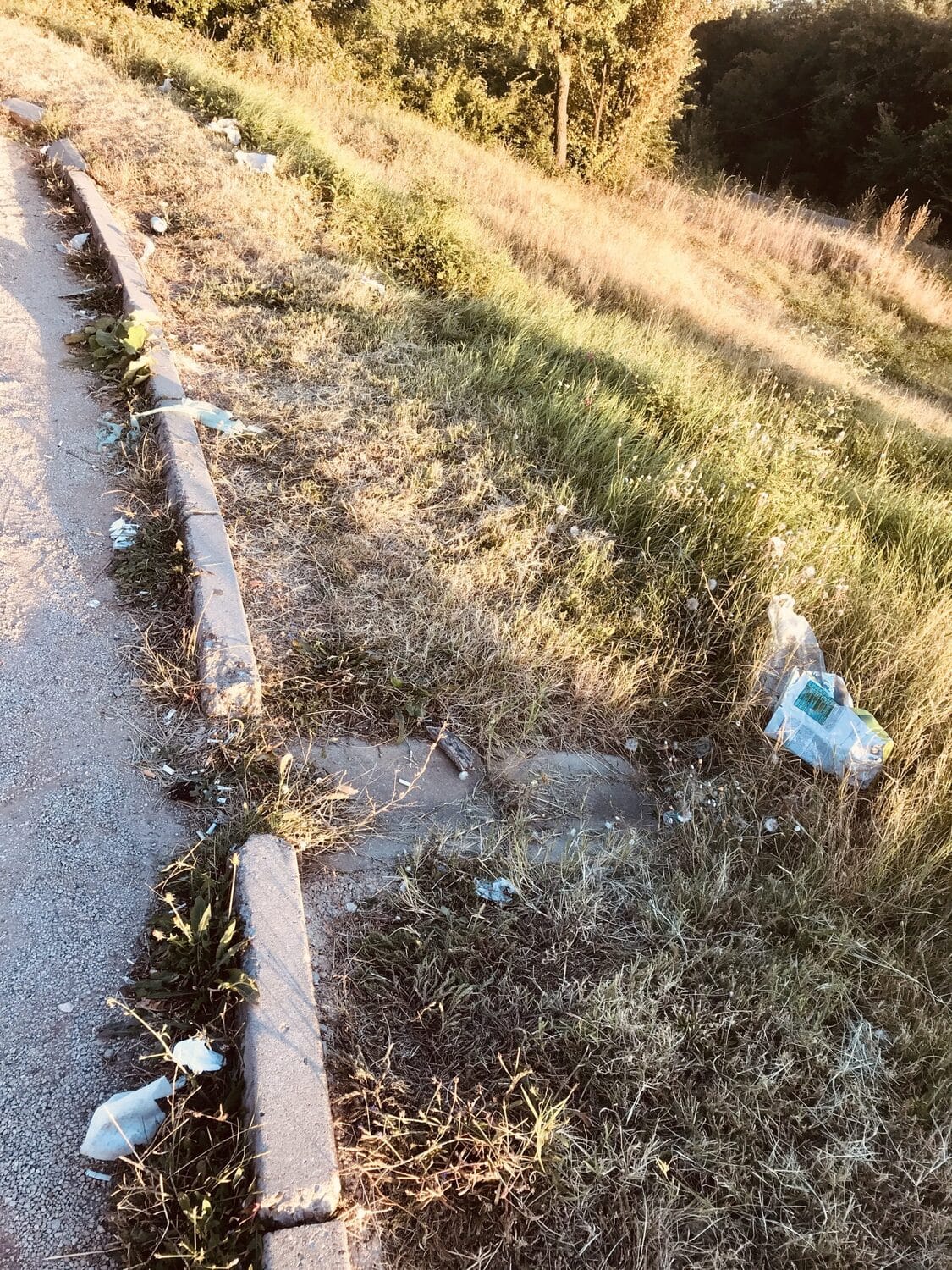 Djubre Kamenicki vis foto citalac scaled