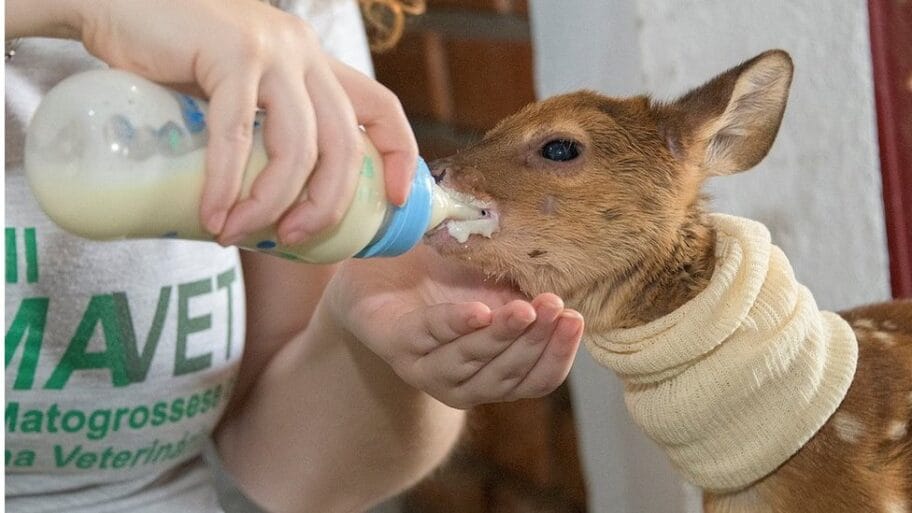 114413651 e2070355 f6e8 4b5c a706 03cce5aae9db