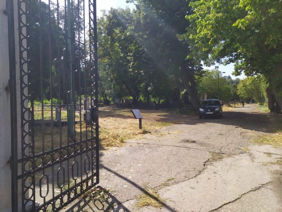 Staro groblje septembar 2020 foto Juzne vesti Milica Jovanovic1 scaled