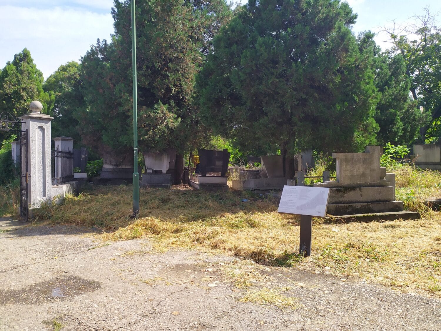 Staro groblje septembar 2020 foto Juzne vesti Milica Jovanovic2 scaled