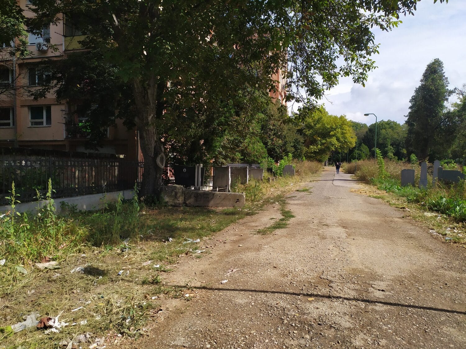 Staro groblje septembar 2020 foto Juzne vesti Milica Jovanovic4 scaled