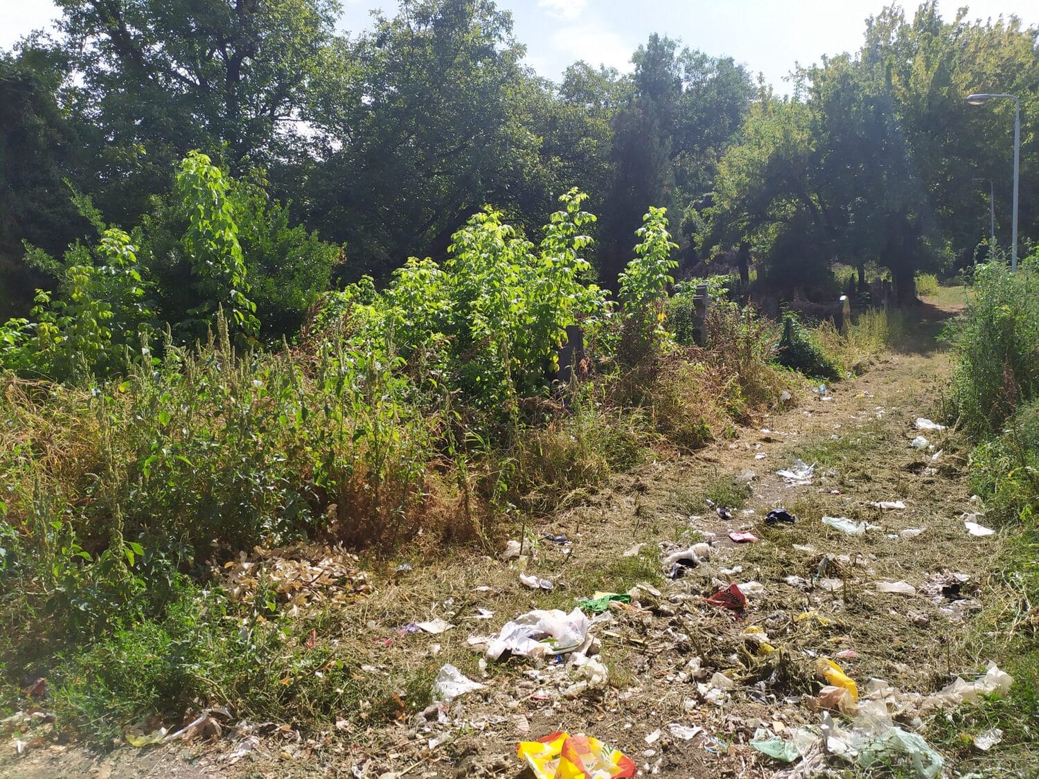 Staro groblje septembar 2020 foto Juzne vesti Milica Jovanovic5 scaled