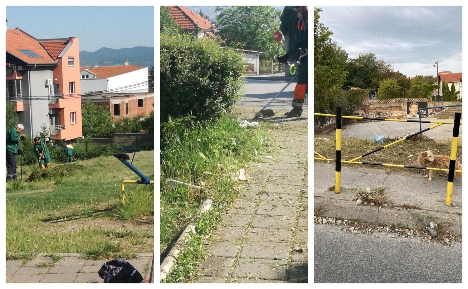 Palilulska kula ciscenje kosenje i djubre foto JKP Mediana citalac scaled