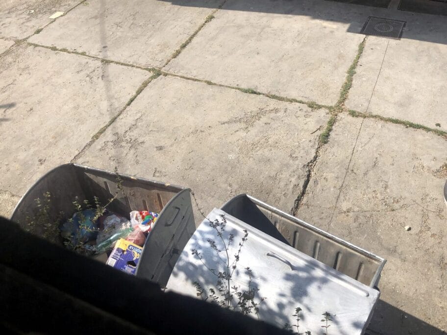 Kontejneri Stanoja Bunusevca foto Marija Petkovic scaled