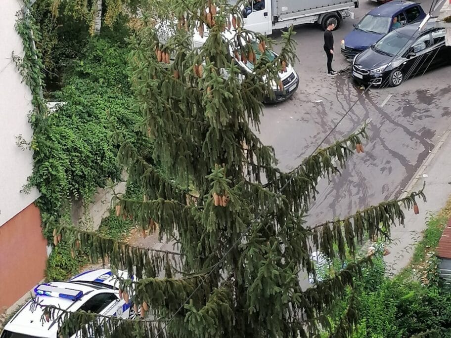 IMG 20200925 144422 Cropped scaled