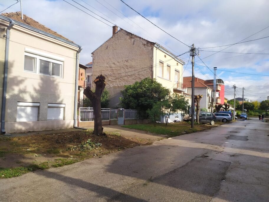 Orezane krosnje Vrbska ulica Palilula septembar 2020 foto Juzne vesti MIlica Jovanovic1 scaled