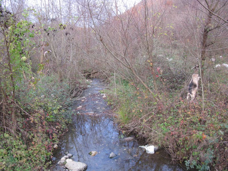 Dozvola za gradnju istekla - jedna MHE manje u prokupačkom kraju 19 Rastovnica Prokuplje 03