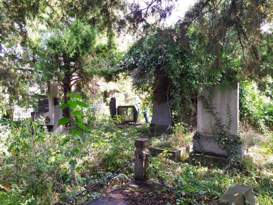 Staro groblje septembar 2020 foto Juzne vesti MIlica Jovanovc1 scaled