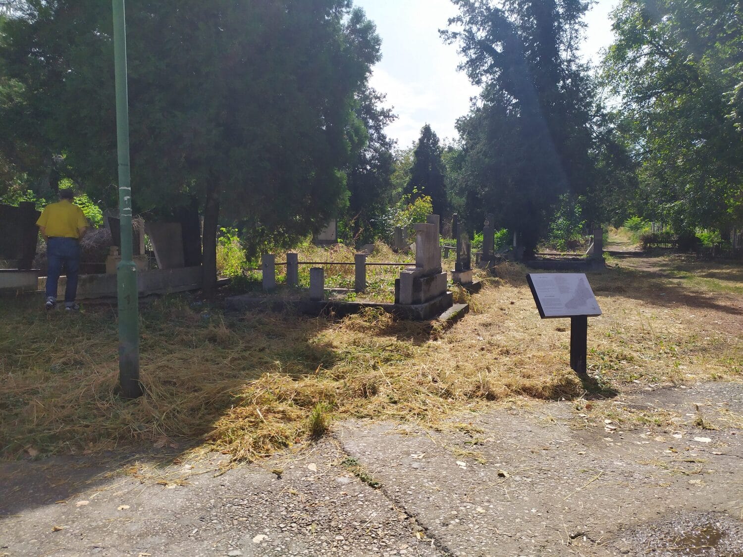 Staro groblje septembar 2020 foto Juzne vesti MIlica Jovanovc2 scaled