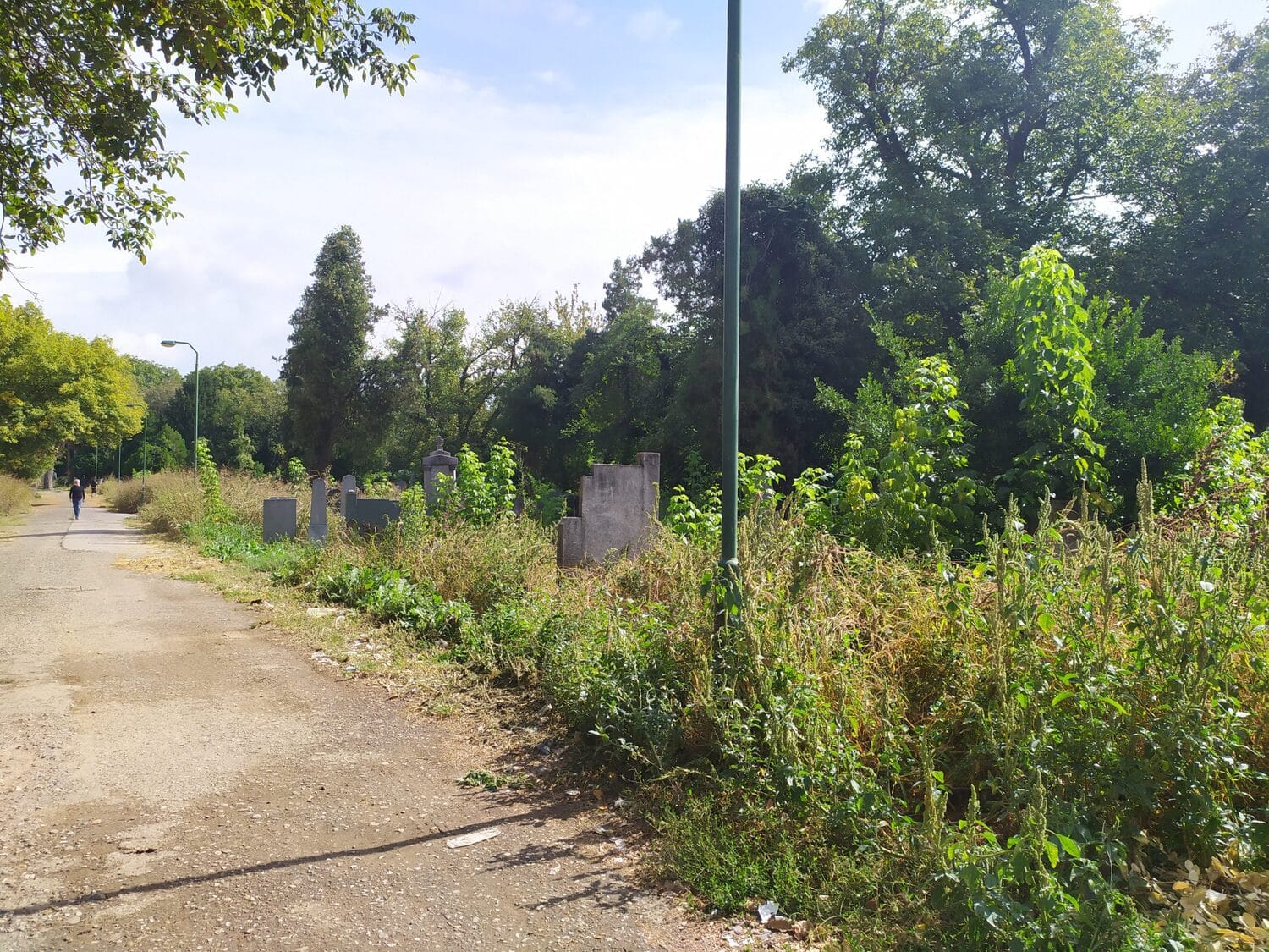 Staro groblje septembar 2020 foto Juzne vesti MIlica Jovanovc3 scaled