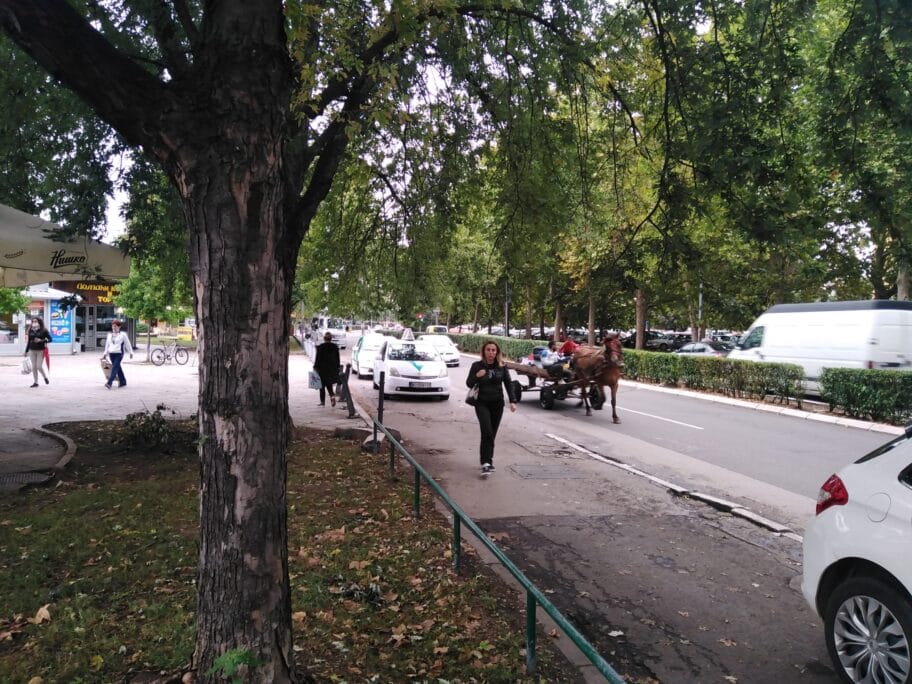 Taksi stajaliste Svetosavski park foto Juzne vesti Vanja Keser scaled