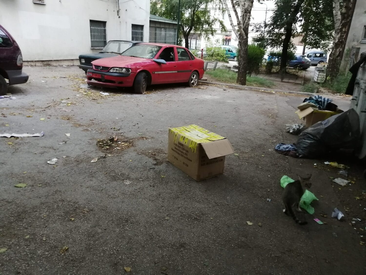 Napuštena kola Milojka Lešjanina