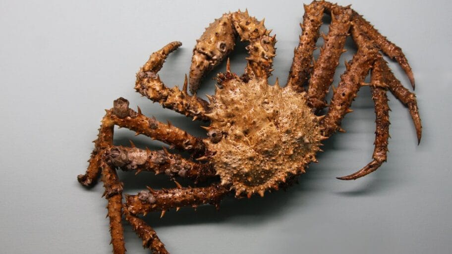 114798510 hi005361810