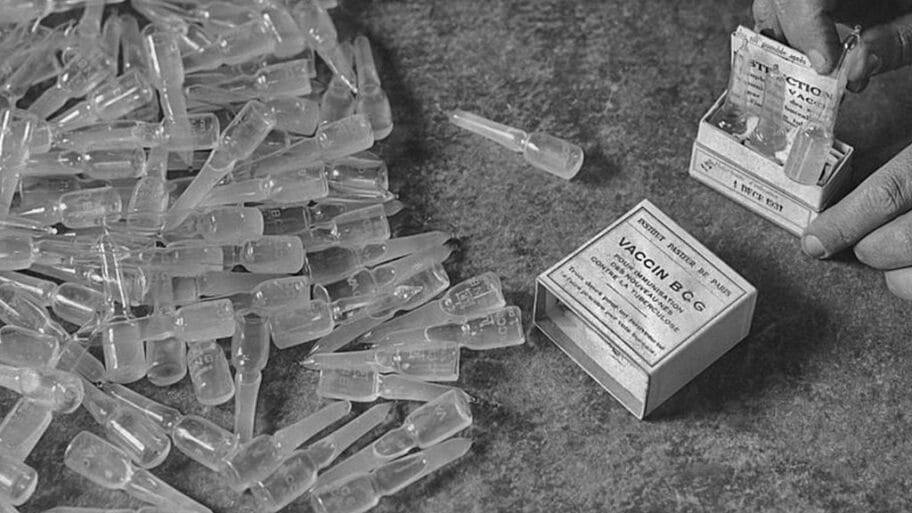 114812232 gettyimages 108432249