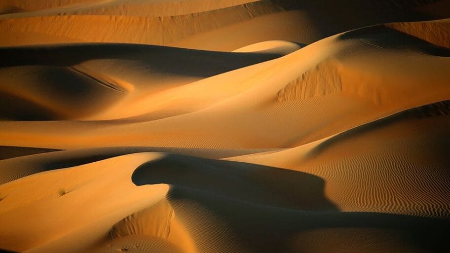 114832806 gettyimages 499466662