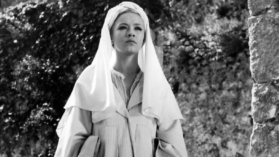 114900034 hasanaginica