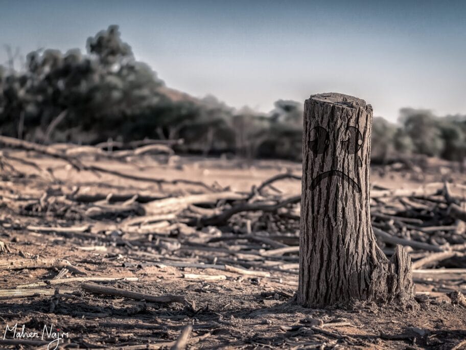 Onlajn Gradski forum o klimatskim promenama 17 Klimatske promene ilustracija foto Flickr Maher Najm scaled